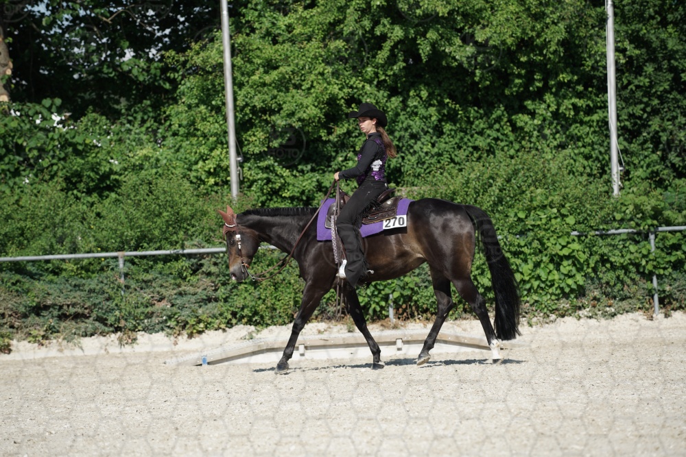 s_APF06787.jpg